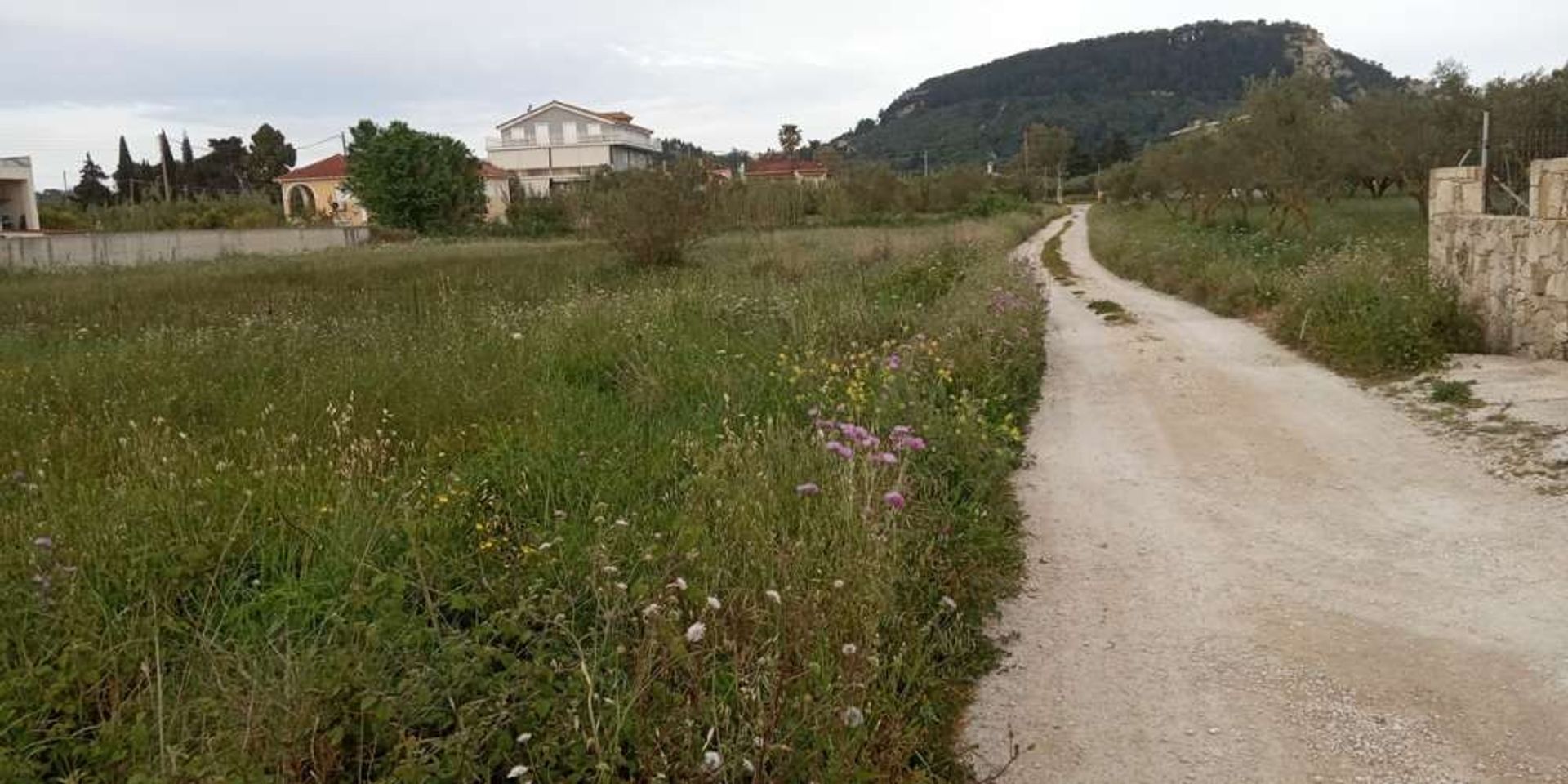 Tierra en bochalí, Jonia Nisia 10086500