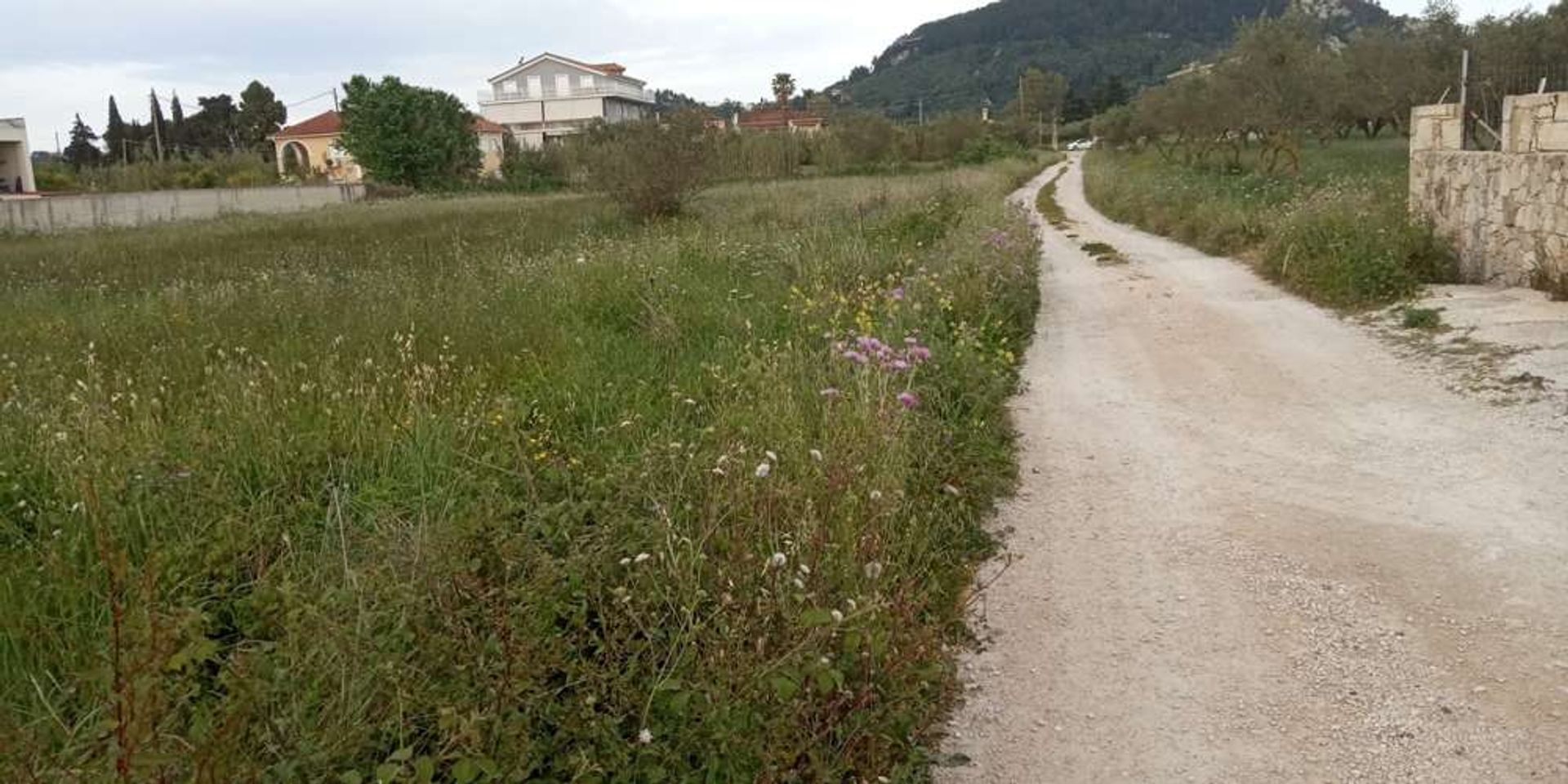 Tierra en bochalí, Jonia Nisia 10086500