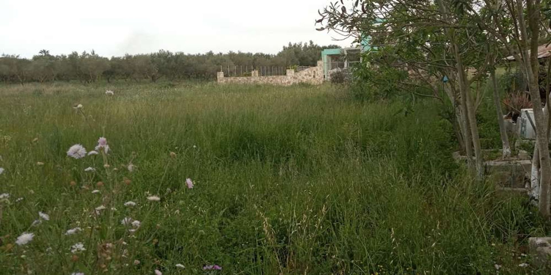 Land in Zakynthos, Zakinthos 10086500