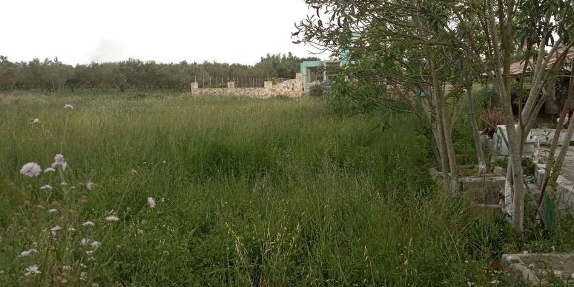 Land in Zakynthos, Zakinthos 10086500