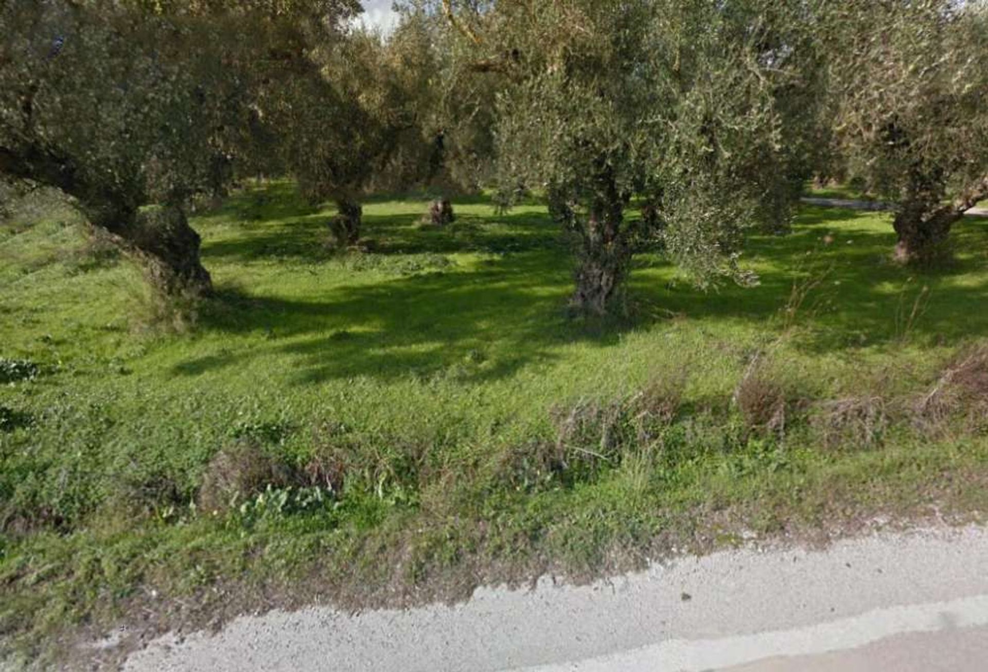 Land i Bochali, Ionia Nisia 10086502