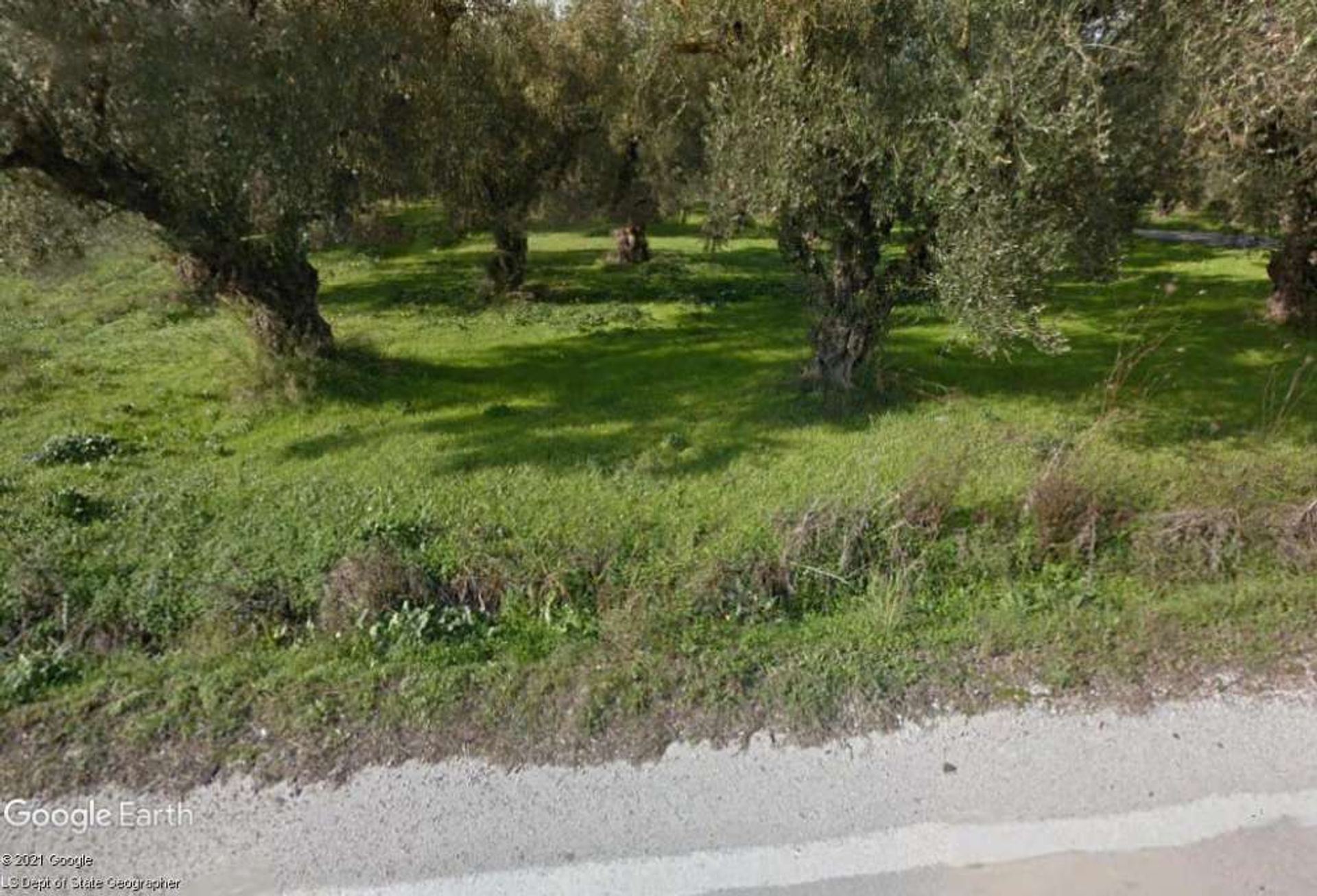 الأرض في Zakynthos, Zakinthos 10086502