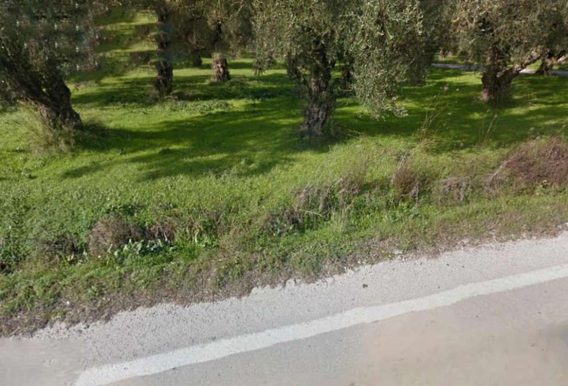 الأرض في Zakynthos, Zakinthos 10086502