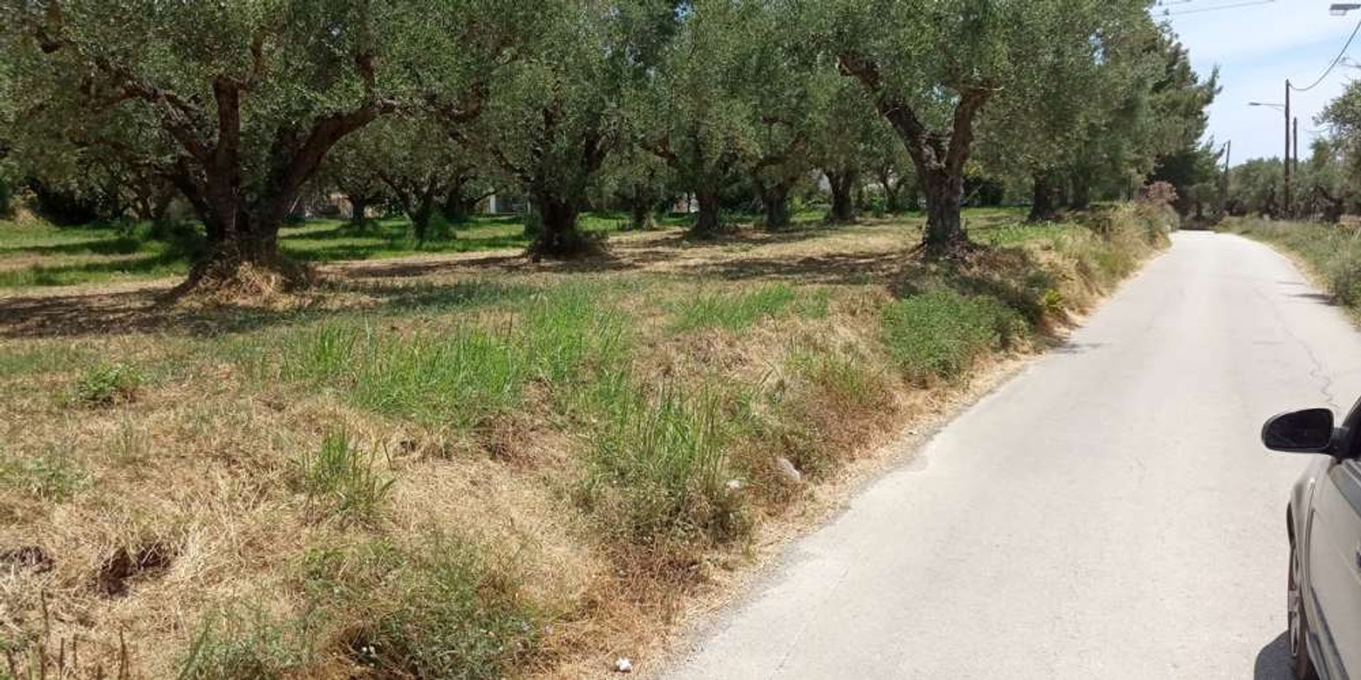 Maa sisään Zakynthos, Zakinthos 10086502