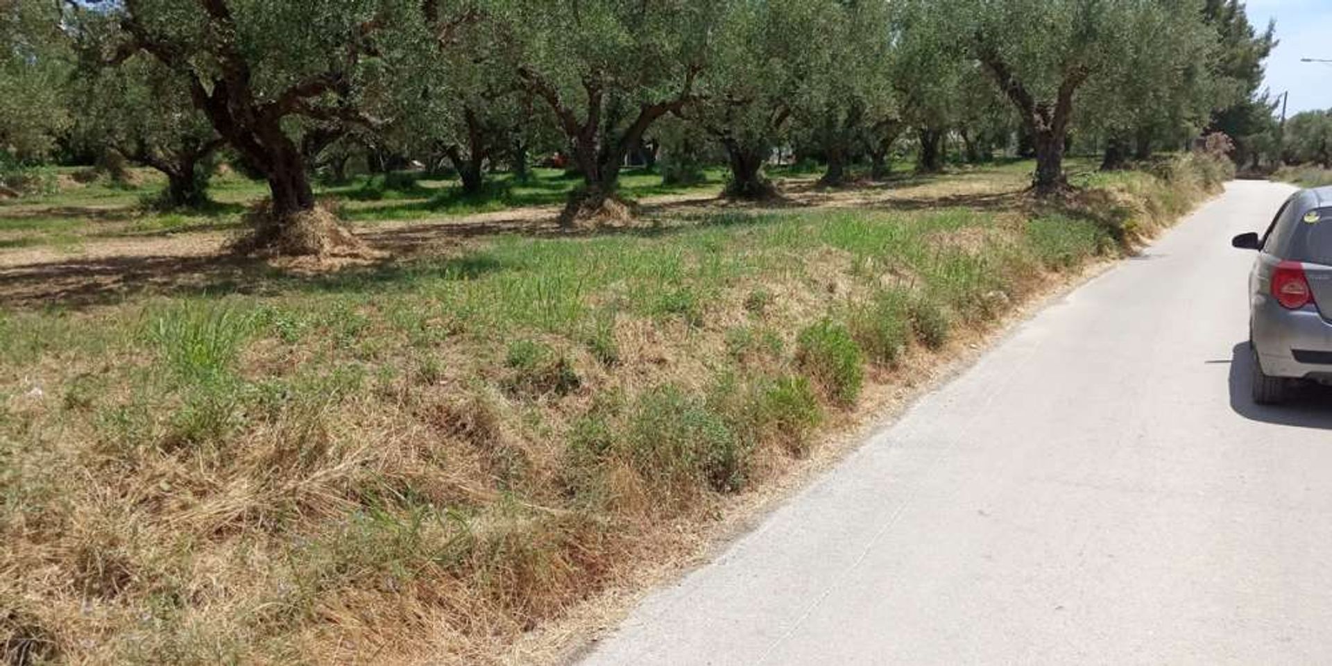 Maa sisään Zakynthos, Zakinthos 10086502