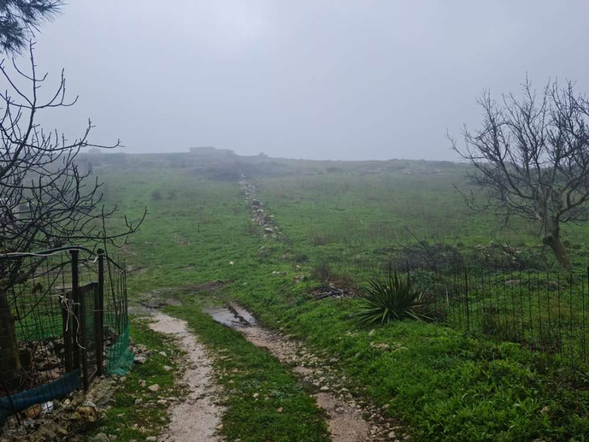 Земельные участки в Zakynthos, Zakinthos 10086505