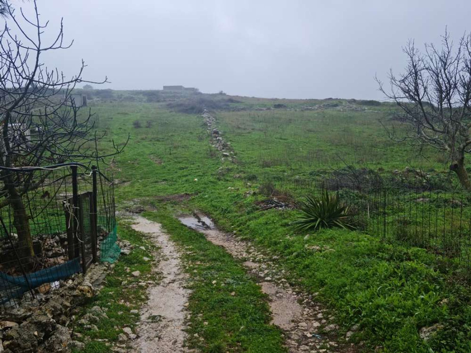 Terre dans Zakynthos, Zakinthos 10086505