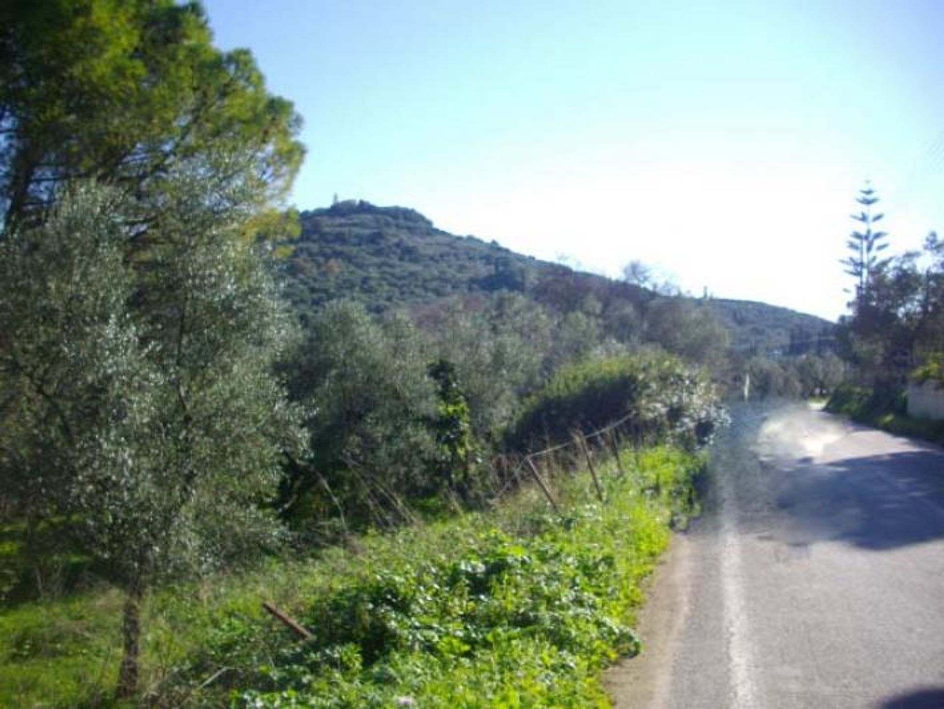 Tierra en Zakynthos, Zakinthos 10086510