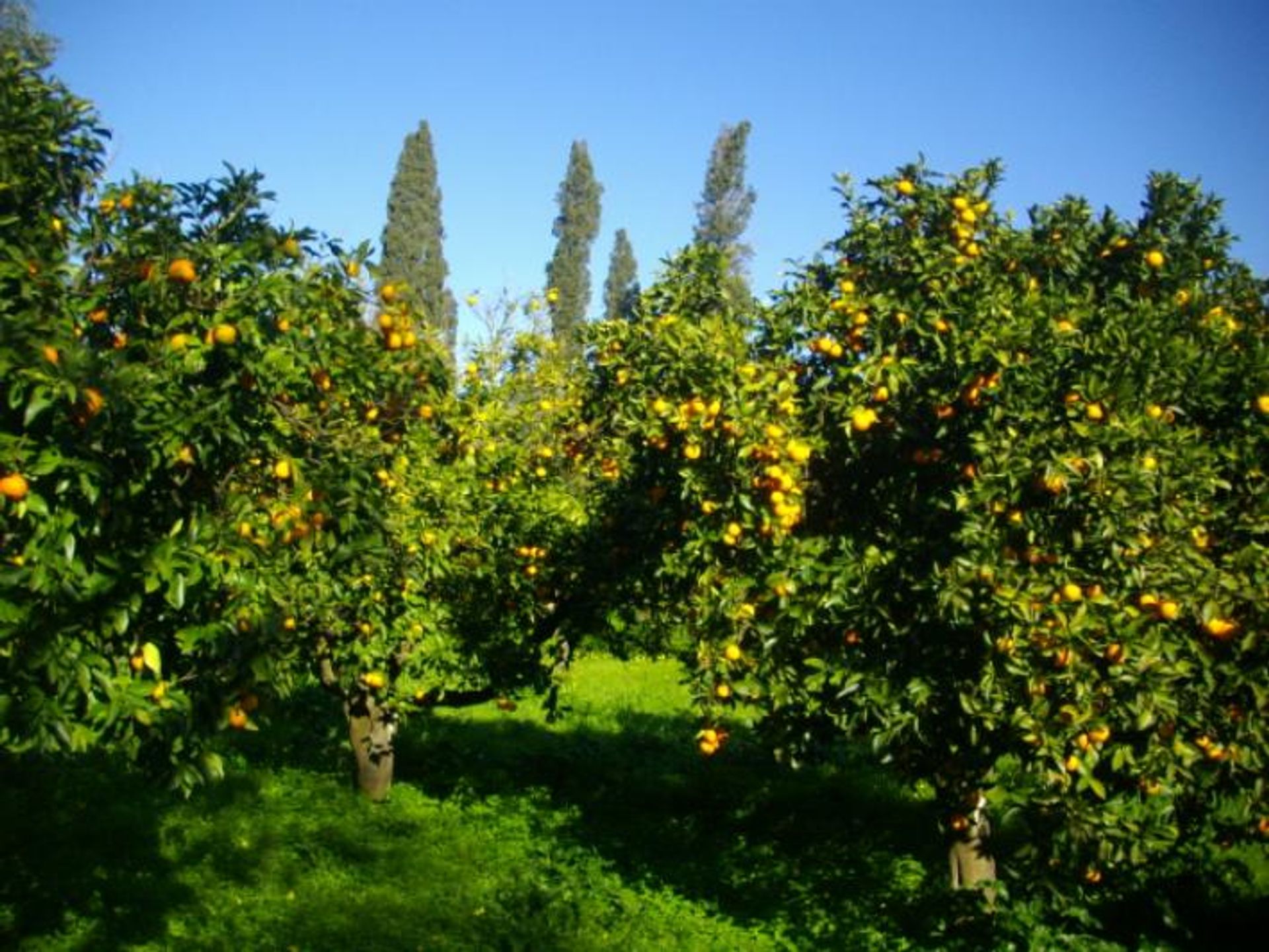 भूमि में Zakynthos, Zakinthos 10086510