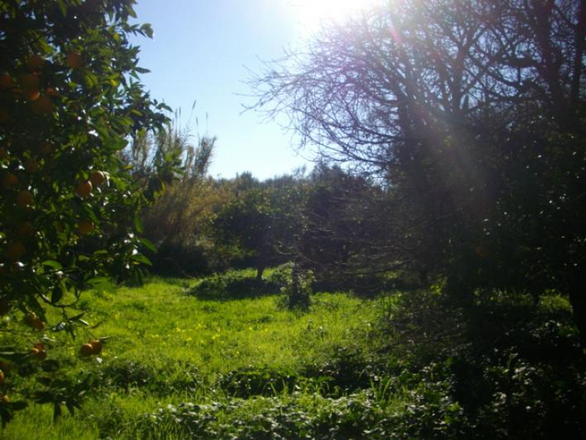 Tierra en Zakynthos, Zakinthos 10086510