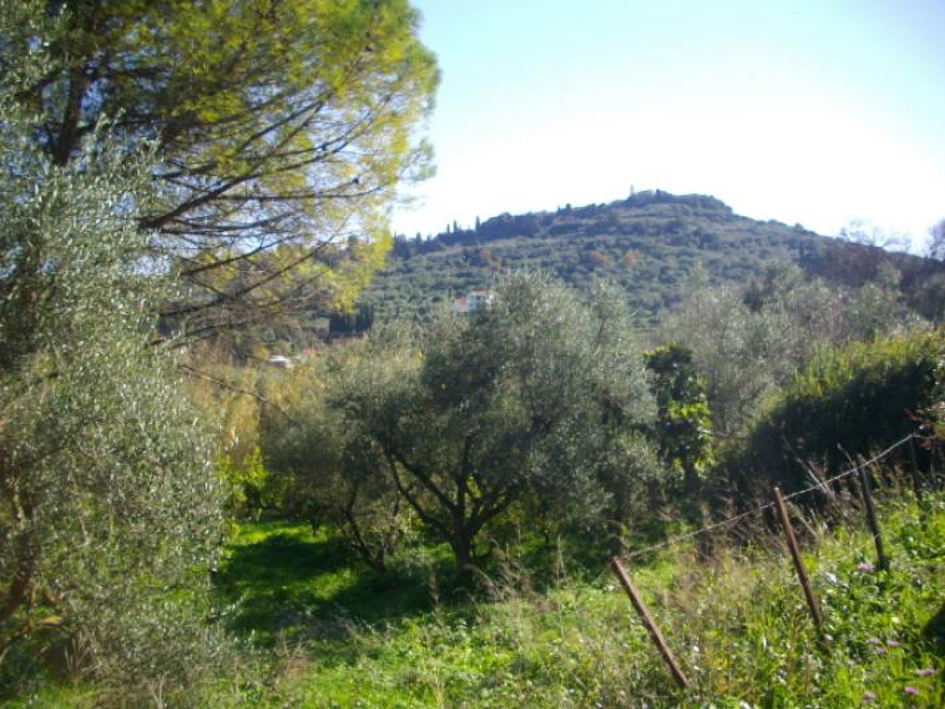 Maa sisään Zakynthos, Zakinthos 10086510