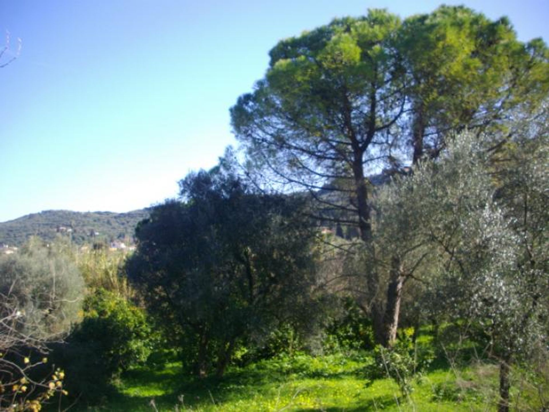 Terra no Zakynthos, Zakinthos 10086510