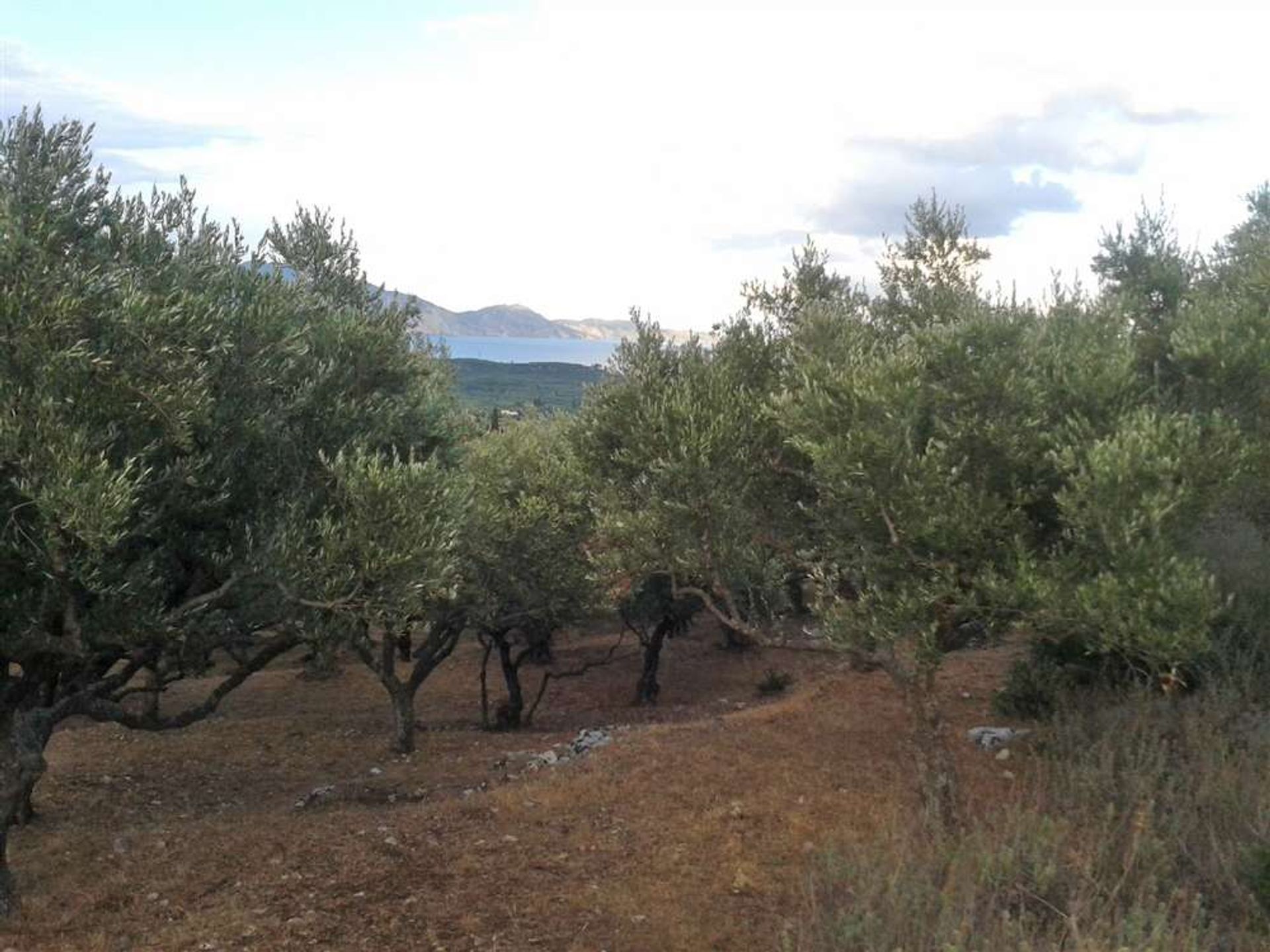 Land in Zakynthos, Zakinthos 10086516