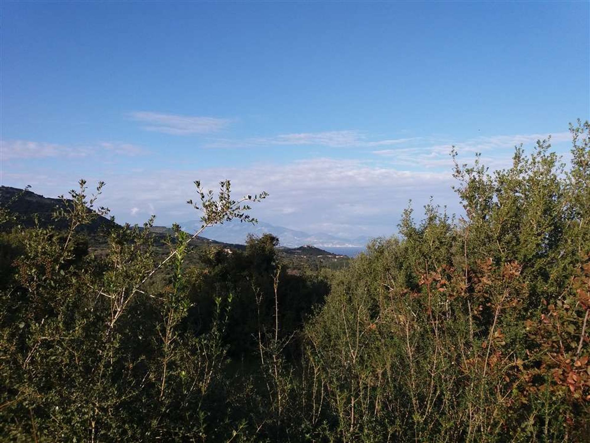 Land i Zakynthos, Zakinthos 10086517