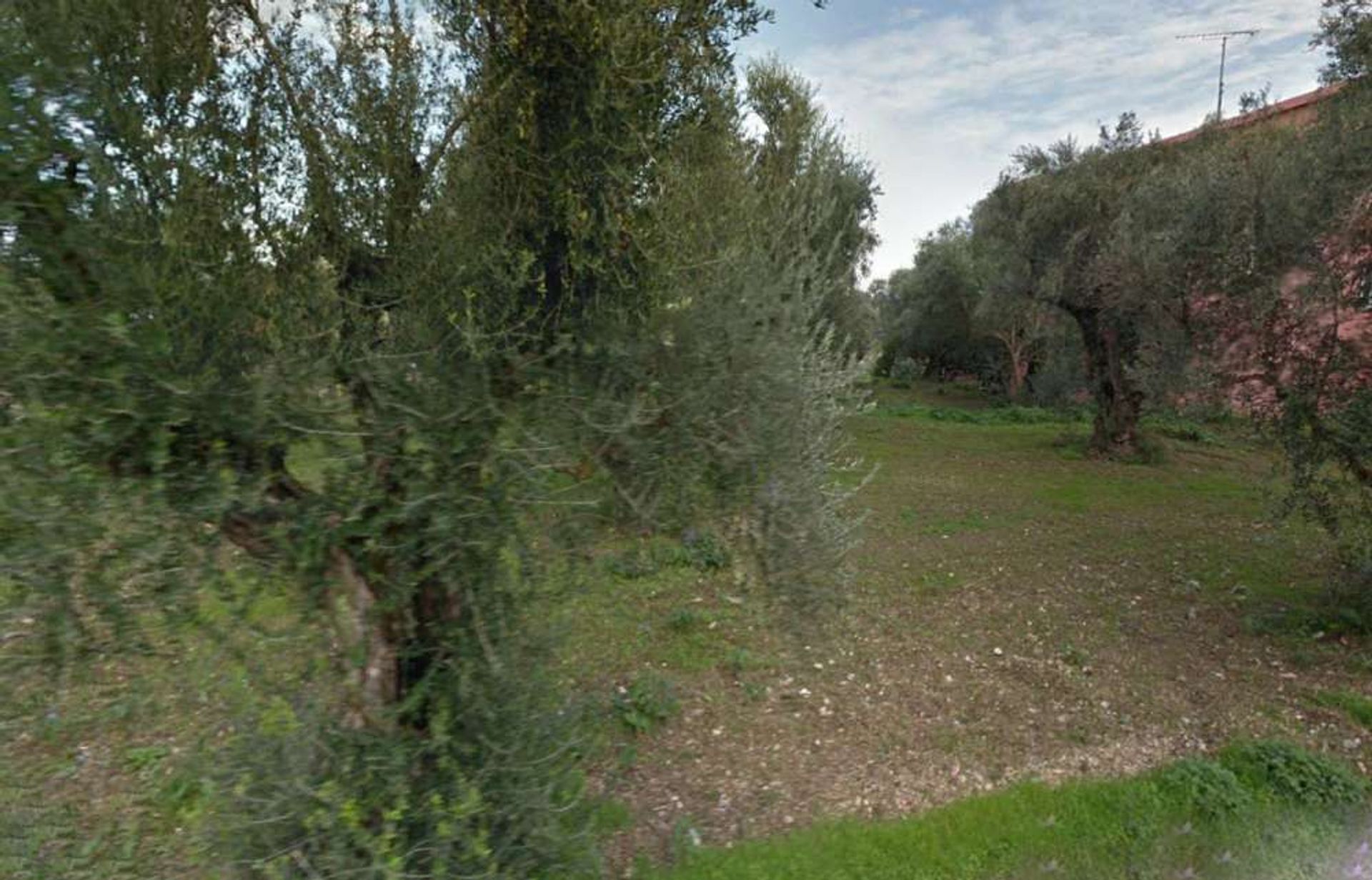 Land in Bochali, Ionia Nisia 10086519