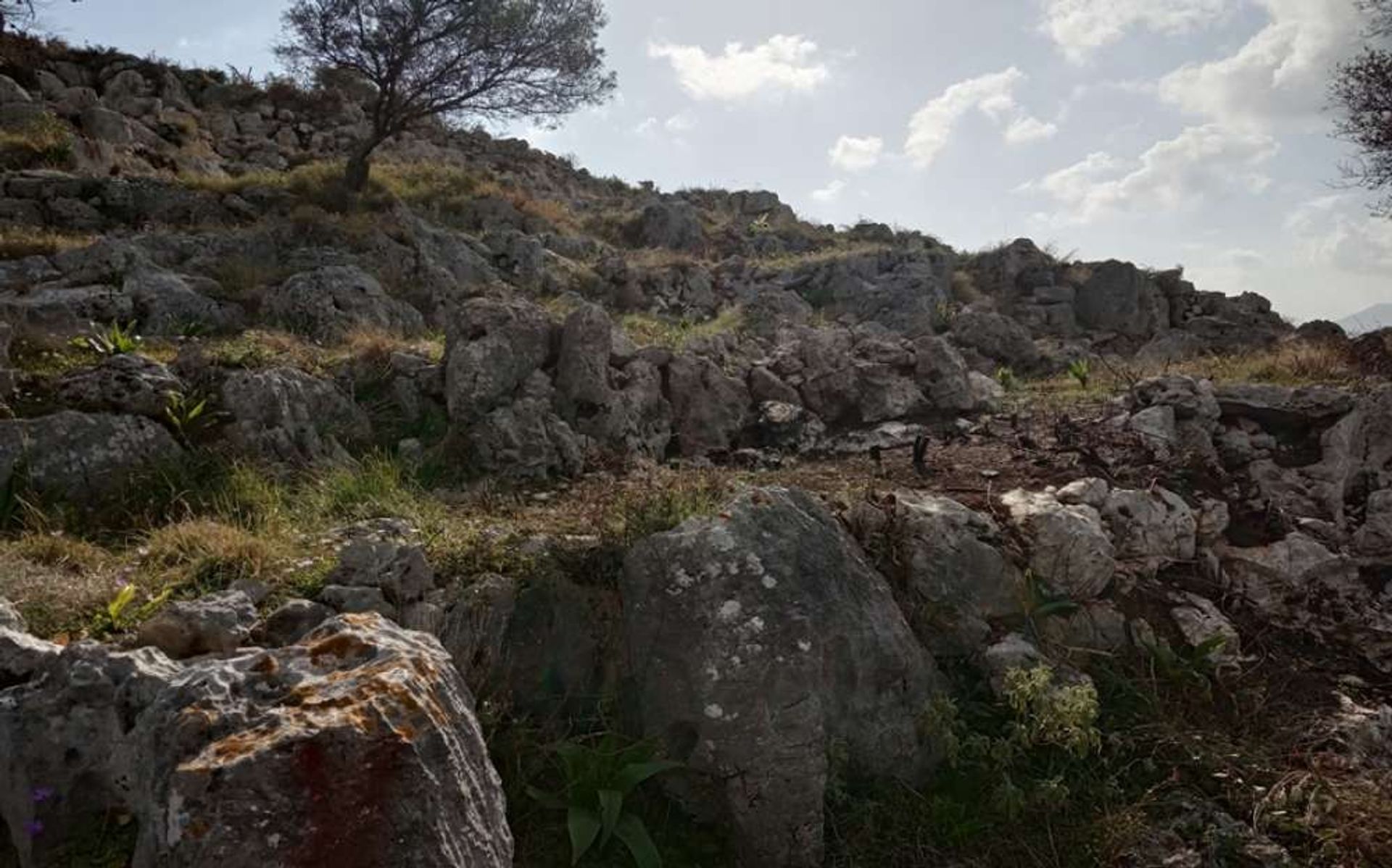 Γη σε Zakynthos, Zakinthos 10086520