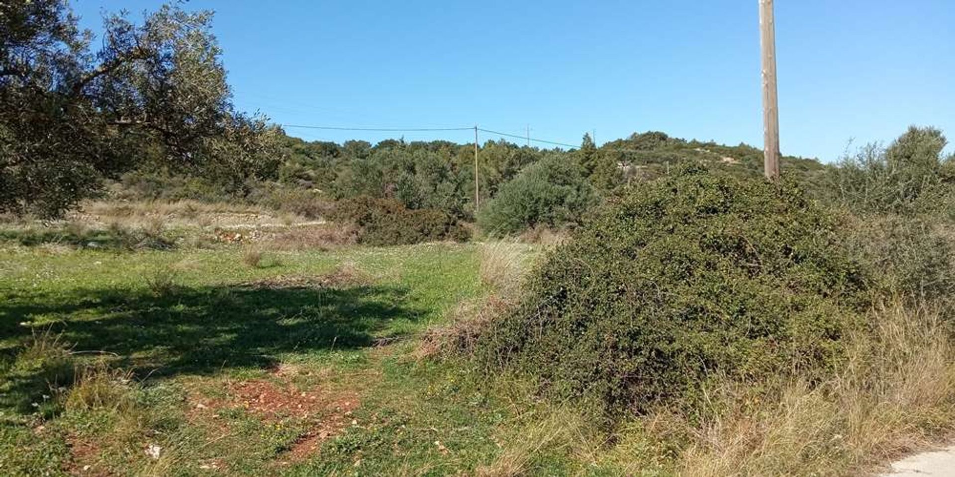 Tierra en bochalí, Jonia Nisia 10086521