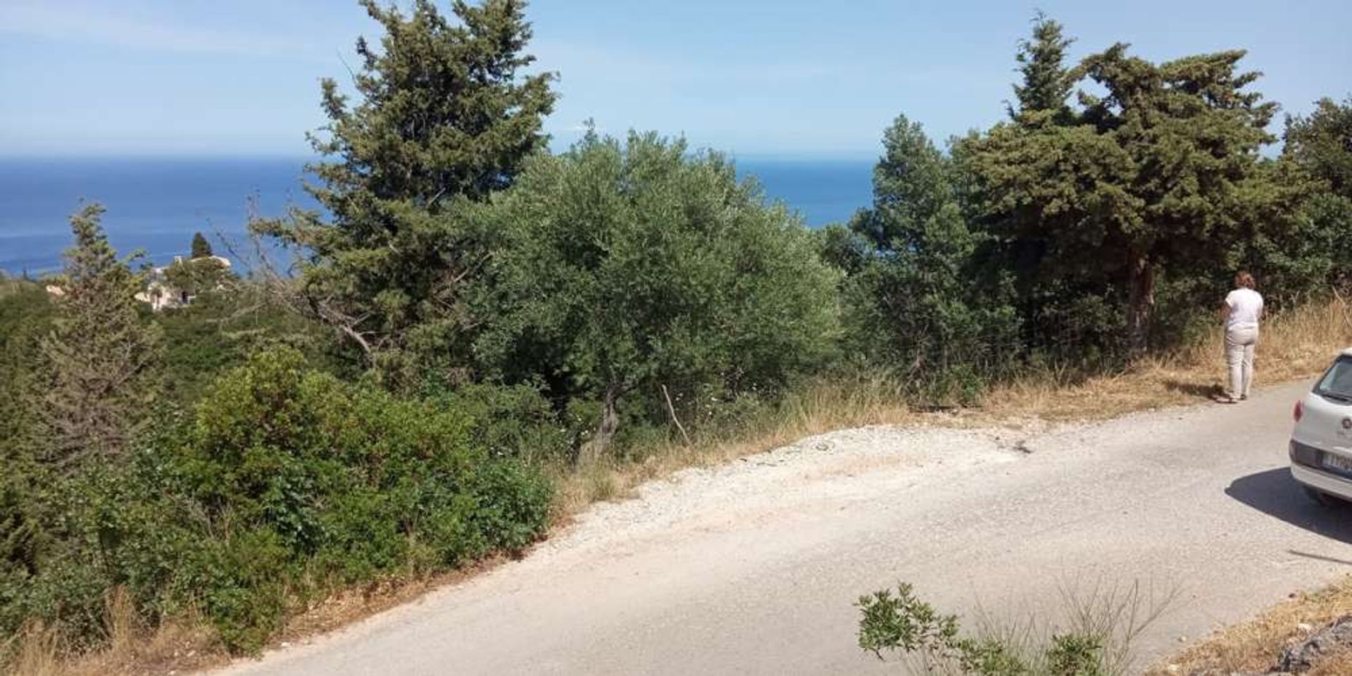 Tanah di Zakynthos, Zakinthos 10086523