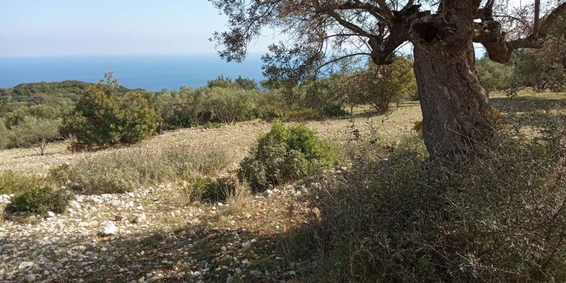 Tanah di Zakynthos, Zakinthos 10086524