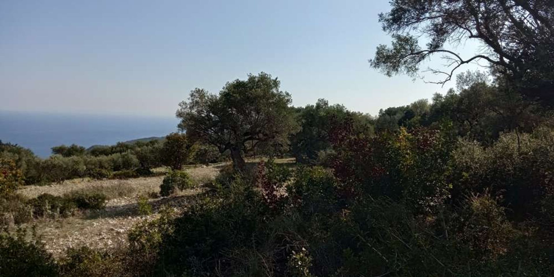 Tanah di Zakynthos, Zakinthos 10086524