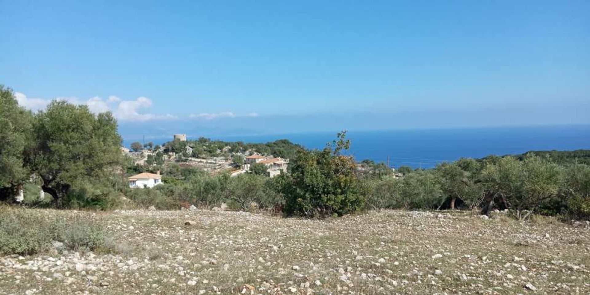 Tierra en bochalí, Jonia Nisia 10086524