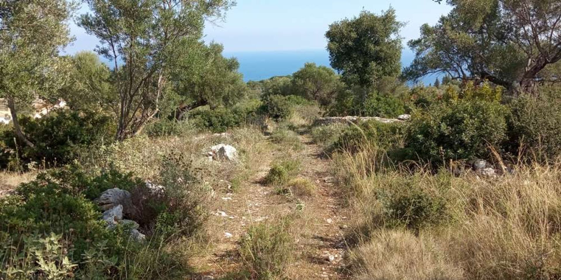 Tanah di Zakynthos, Zakinthos 10086524