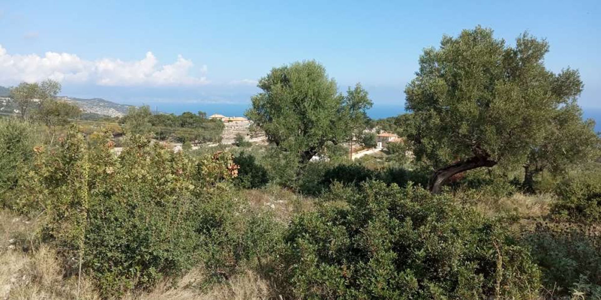 Tanah di Zakynthos, Zakinthos 10086524