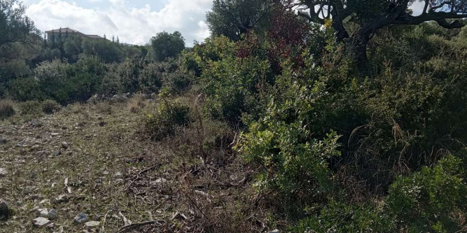 Tanah di Zakynthos, Zakinthos 10086524