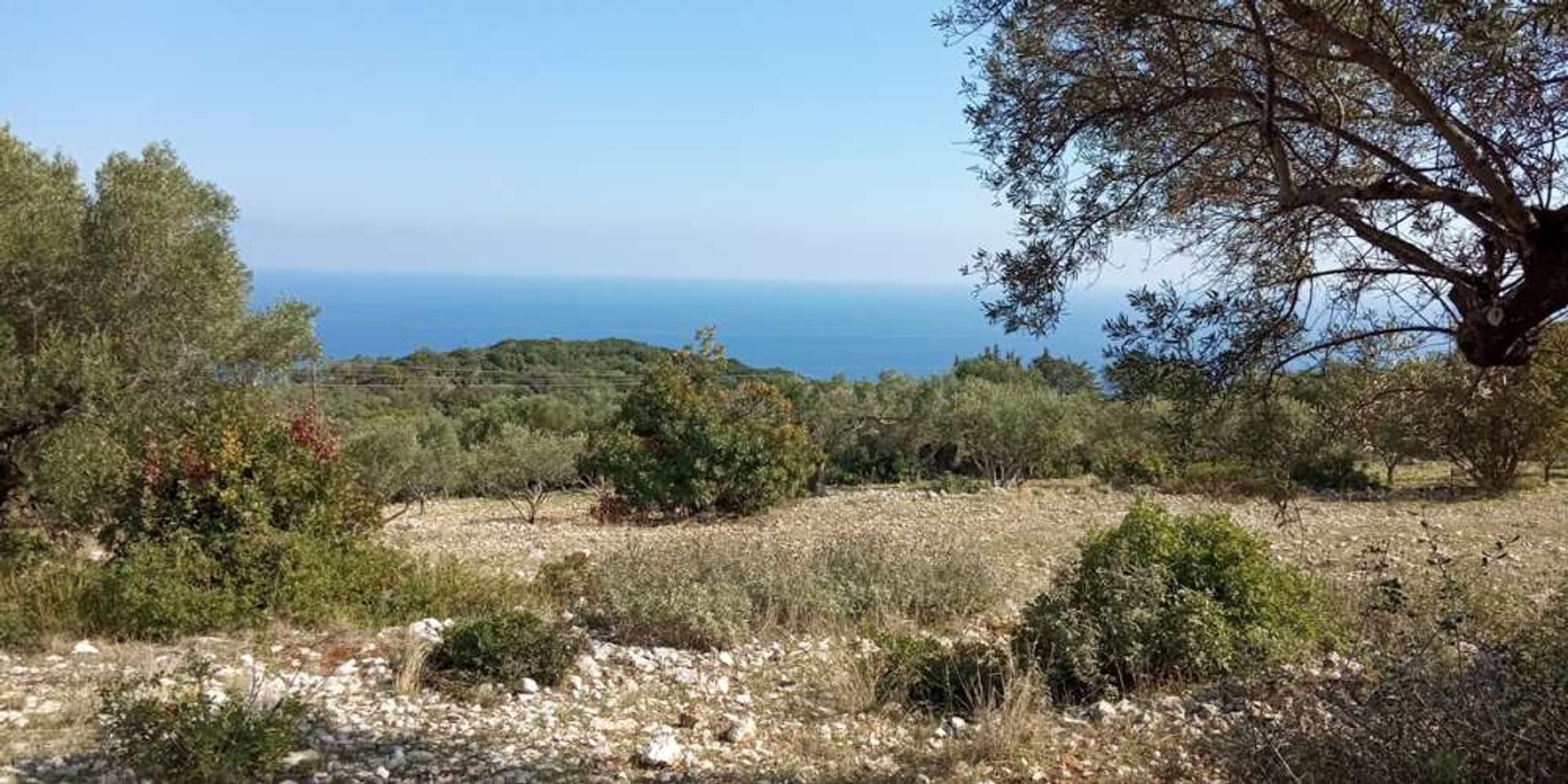 Tanah di Zakynthos, Zakinthos 10086524