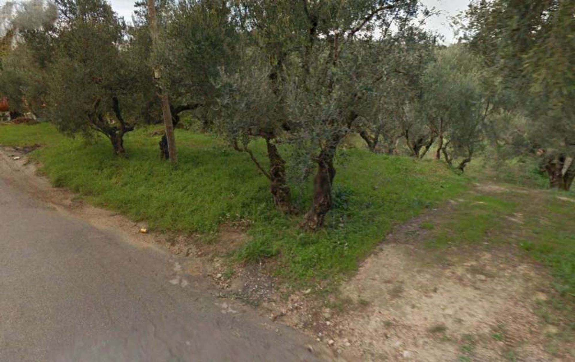 Tierra en Zakynthos, Zakinthos 10086527