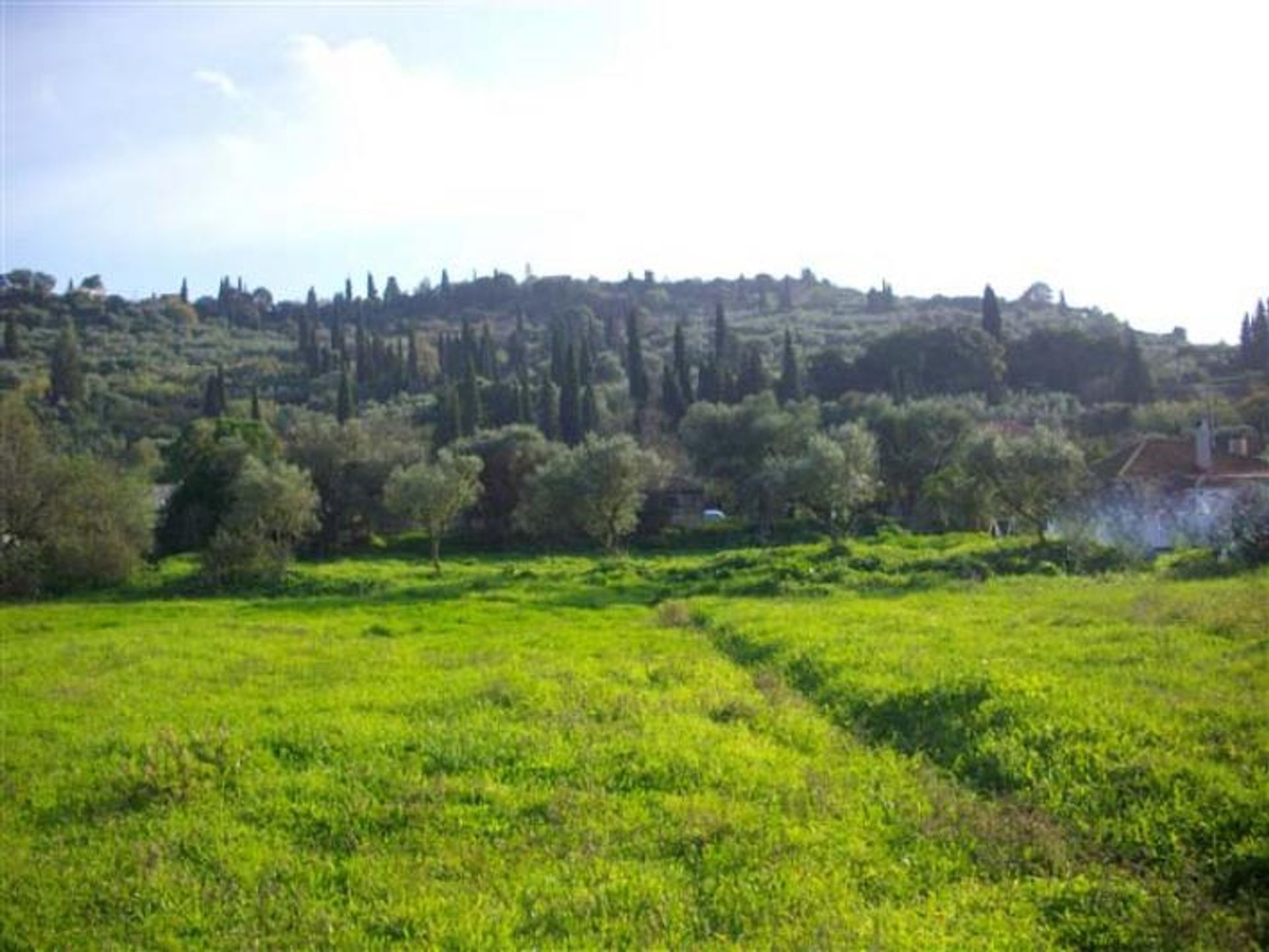 土地 在 Zakynthos, Zakinthos 10086528