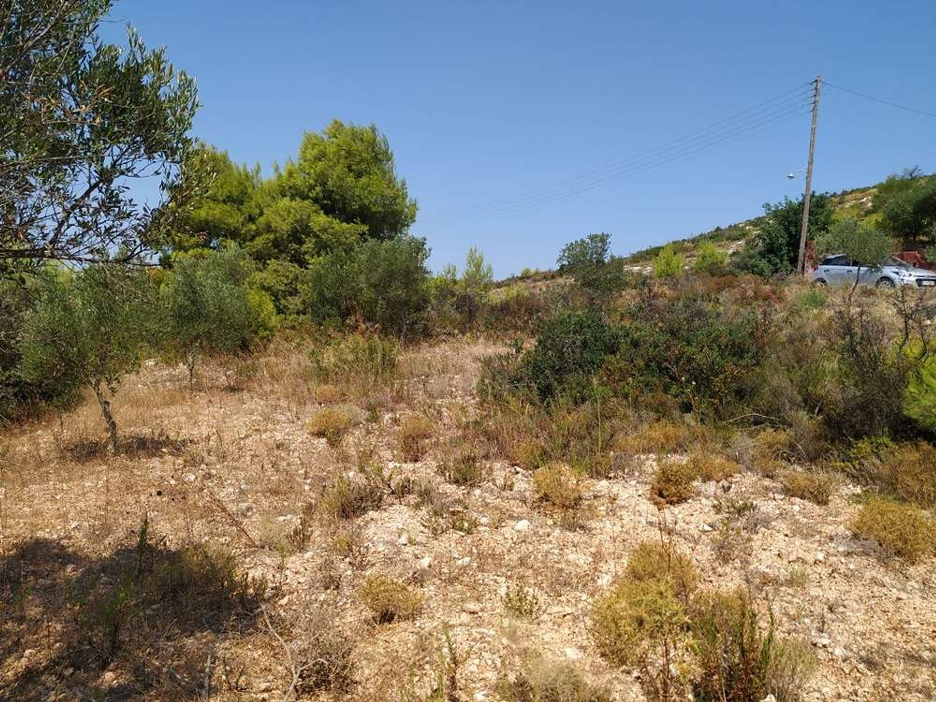 Jord i Zakynthos, Zakinthos 10086529