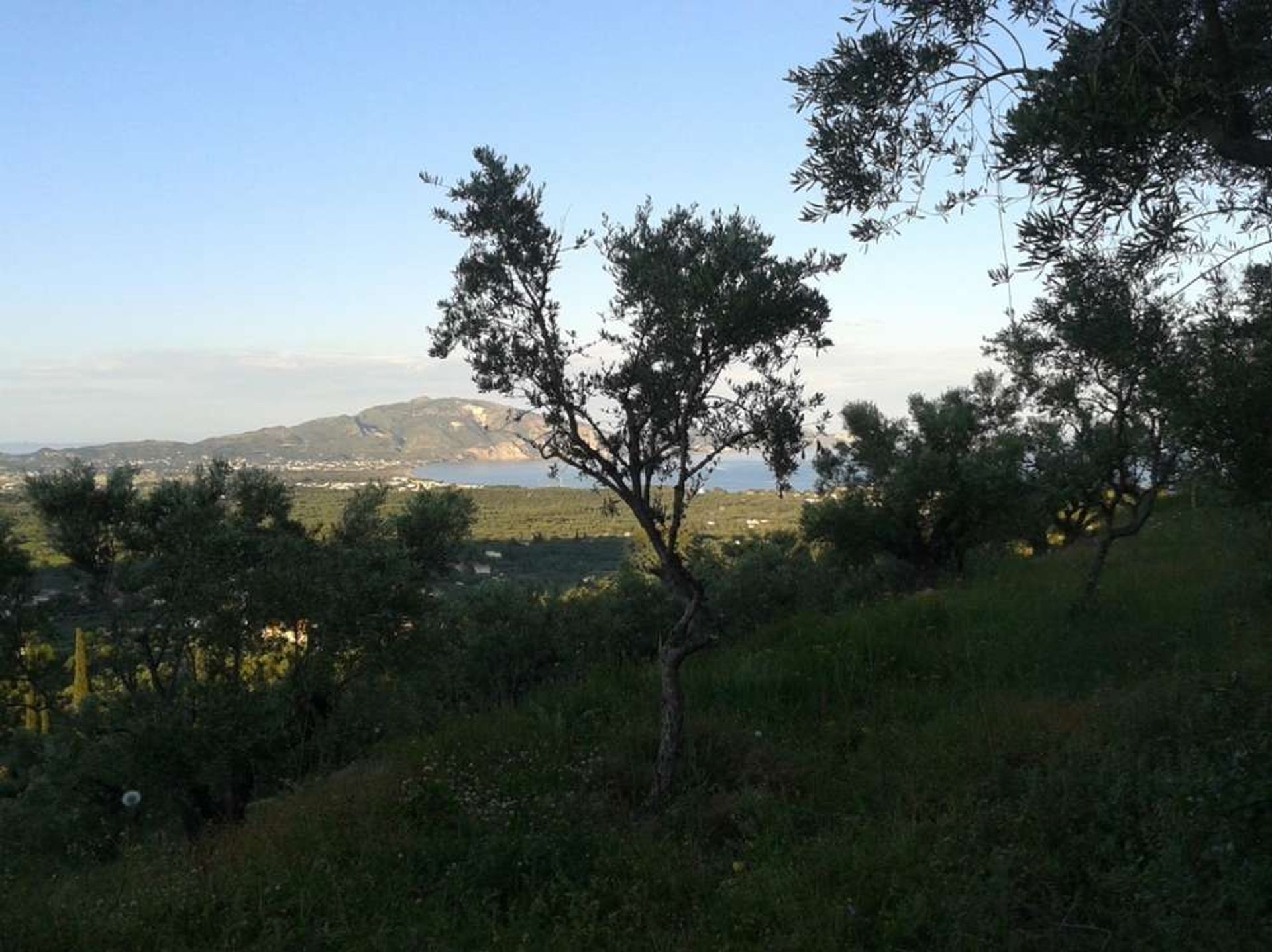 Land in Zakynthos, Zakinthos 10086537