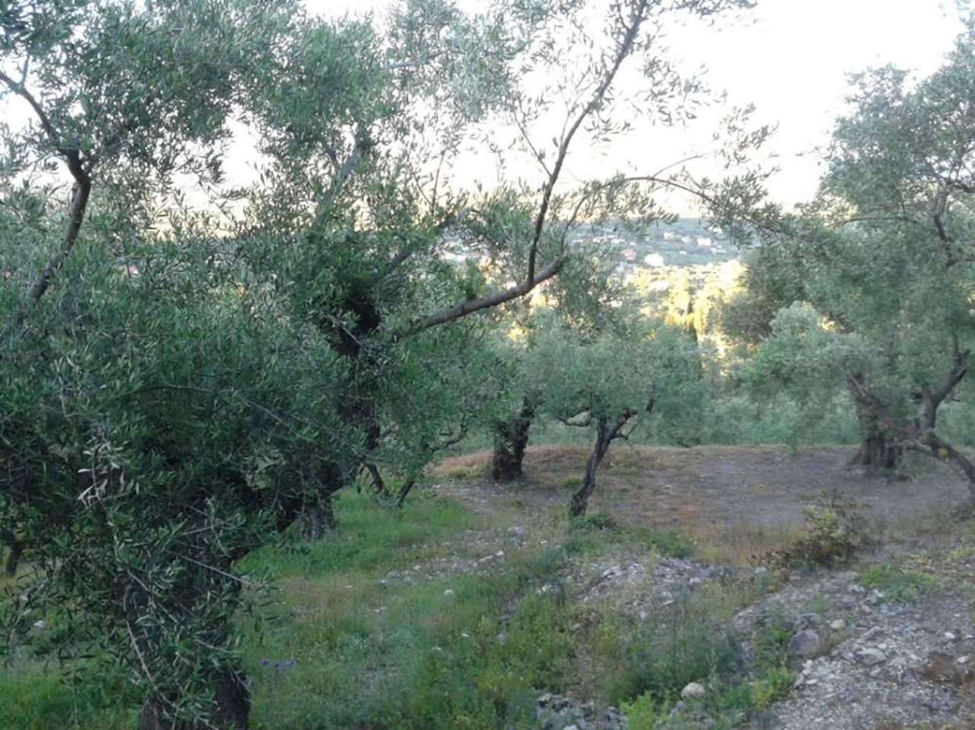 Land in Zakynthos, Zakinthos 10086537