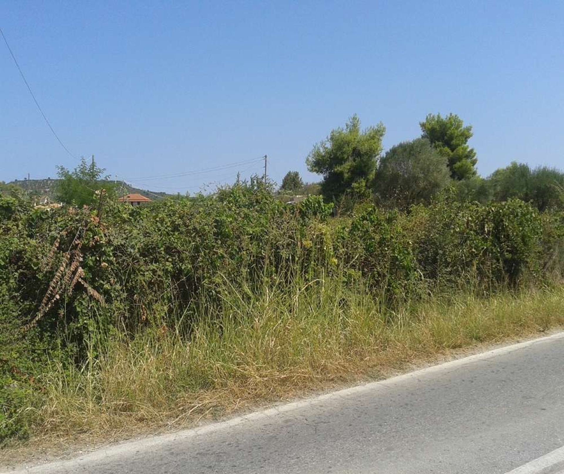 Terre dans Zakynthos, Zakinthos 10086538