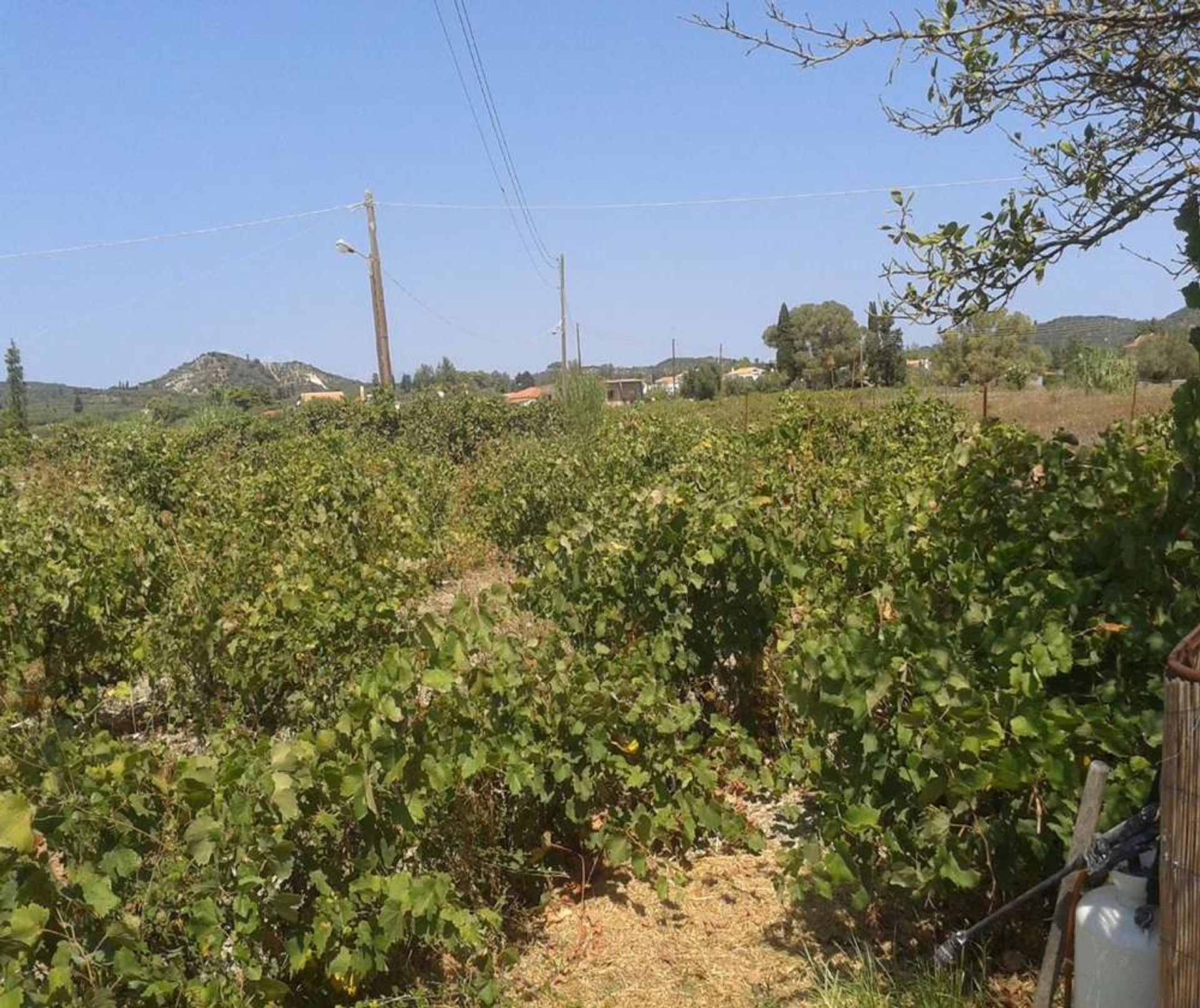 Terre dans Zakynthos, Zakinthos 10086538