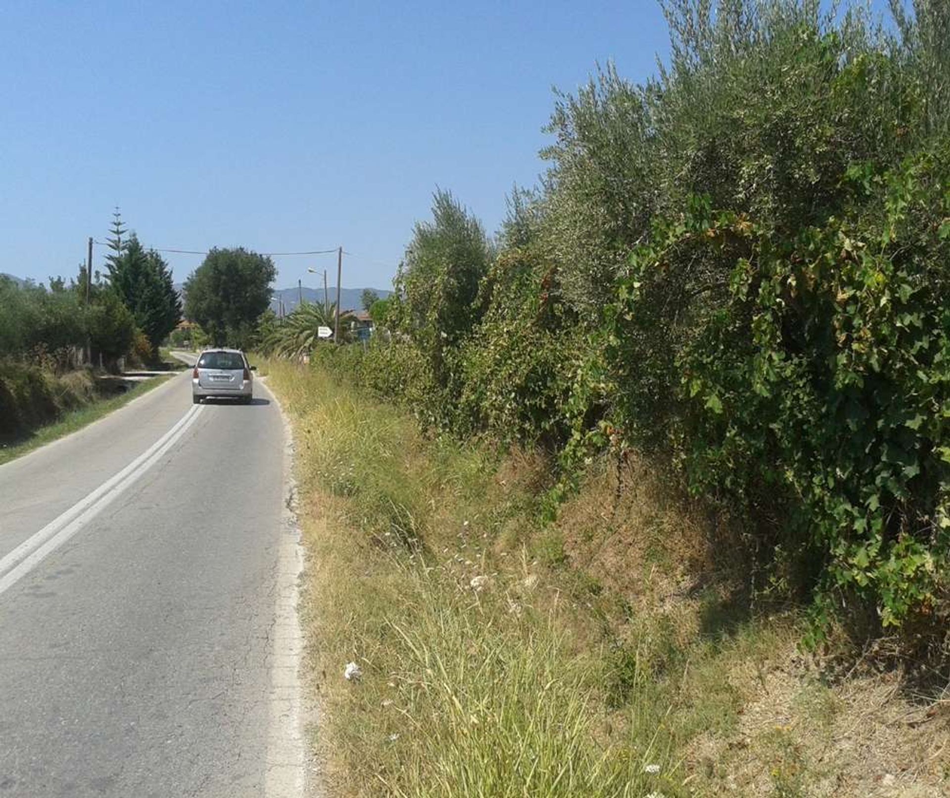 Tierra en bochalí, Jonia Nisia 10086538