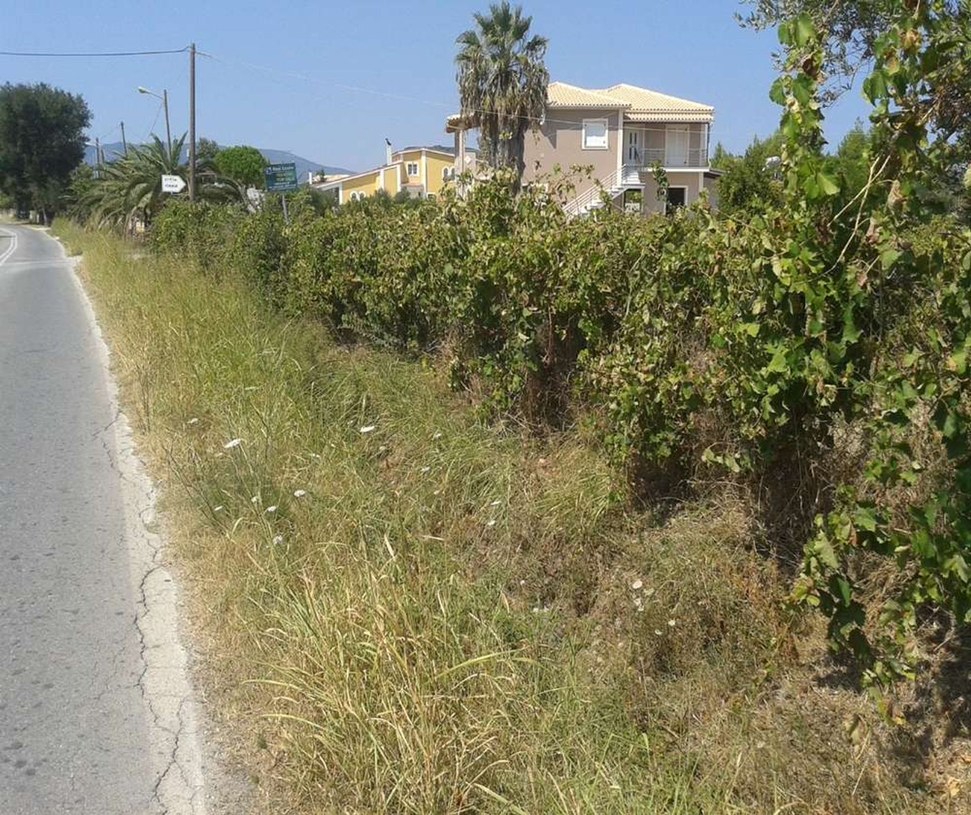 Land im Zakynthos, Zakinthos 10086538