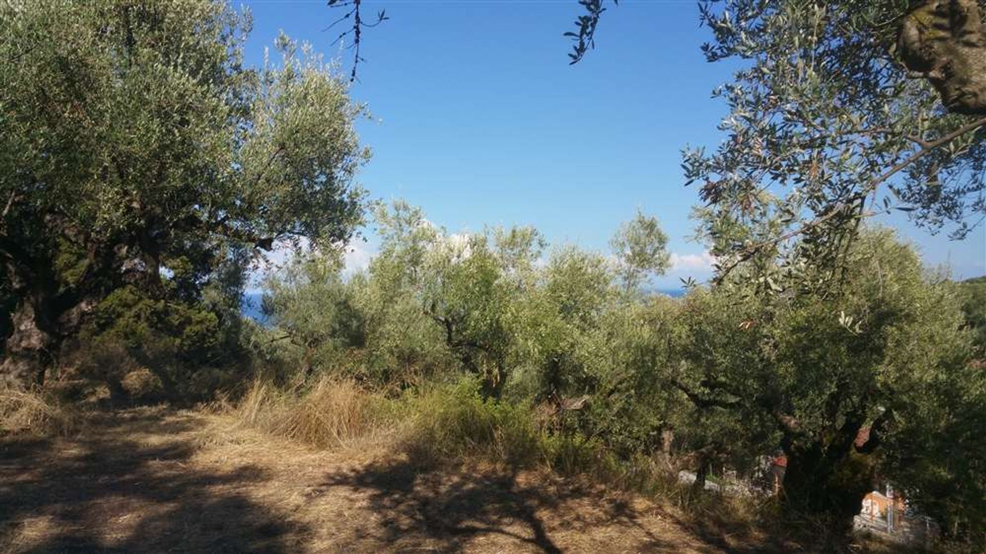 Land in Zakynthos, Zakinthos 10086539