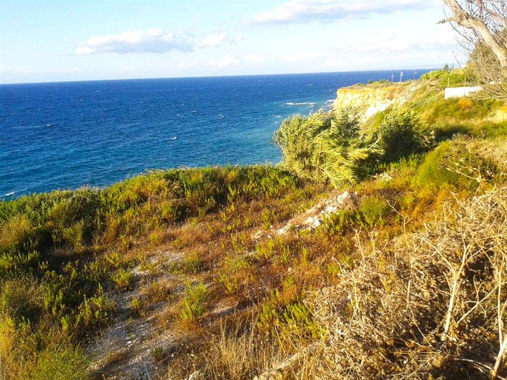 Tierra en bochalí, Jonia Nisia 10086540