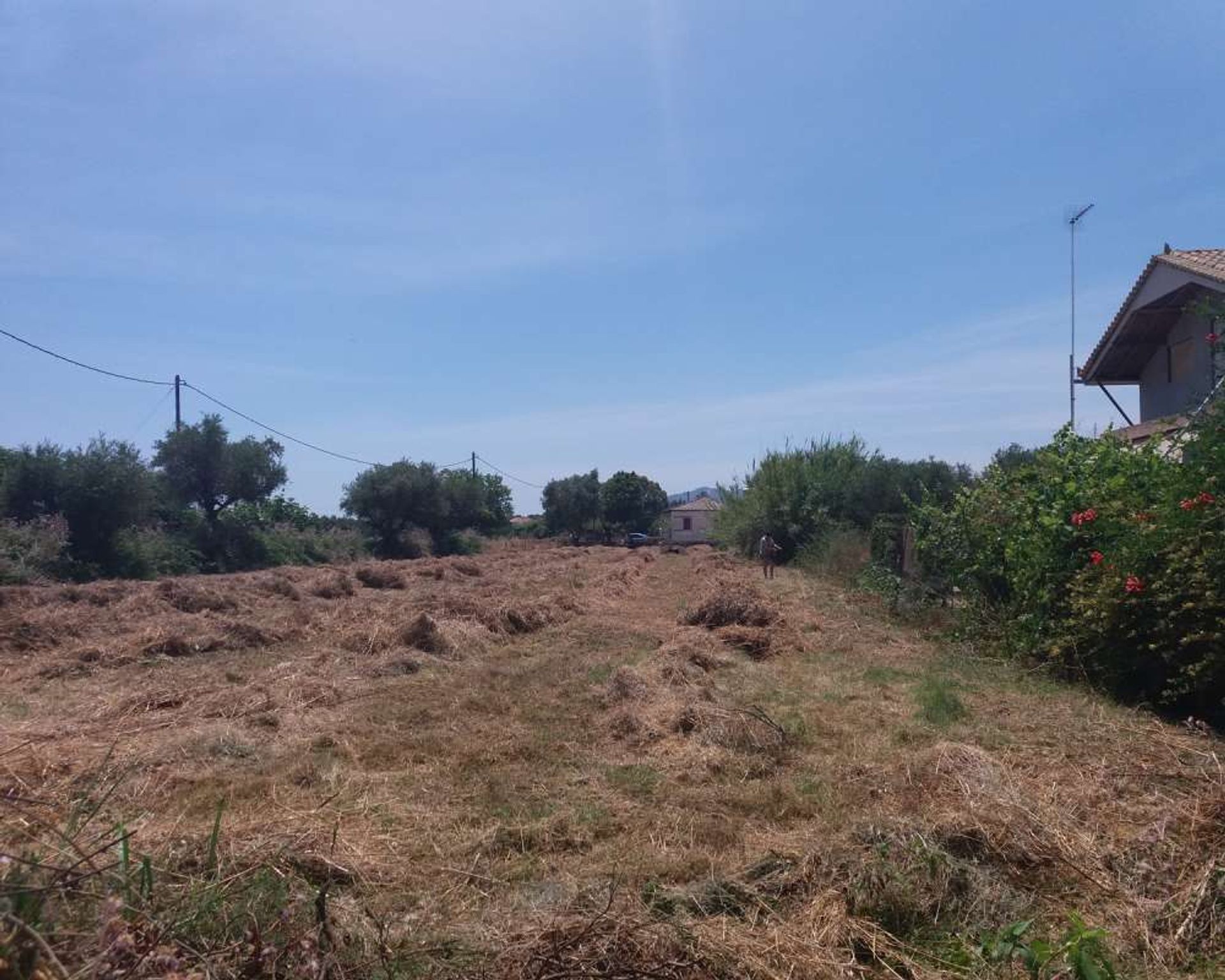 Land in Zakynthos, Zakinthos 10086542