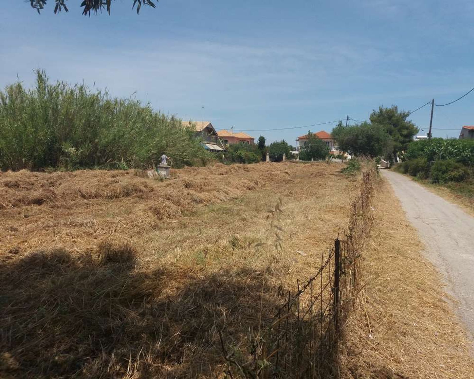 Land im Zakynthos, Zakinthos 10086542