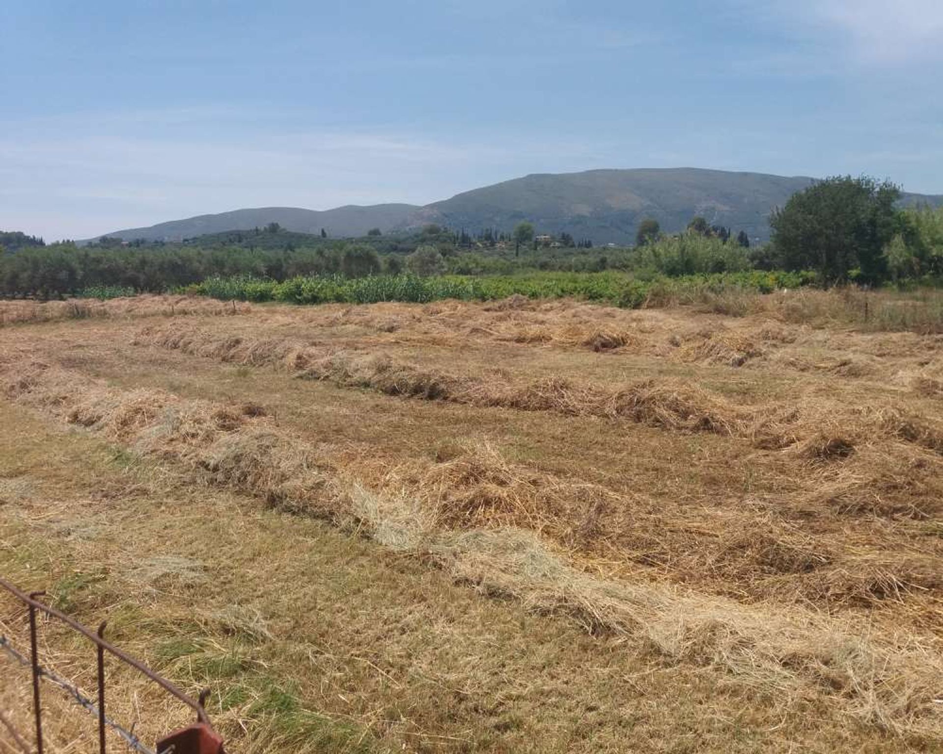 Land in Zakynthos, Zakinthos 10086542