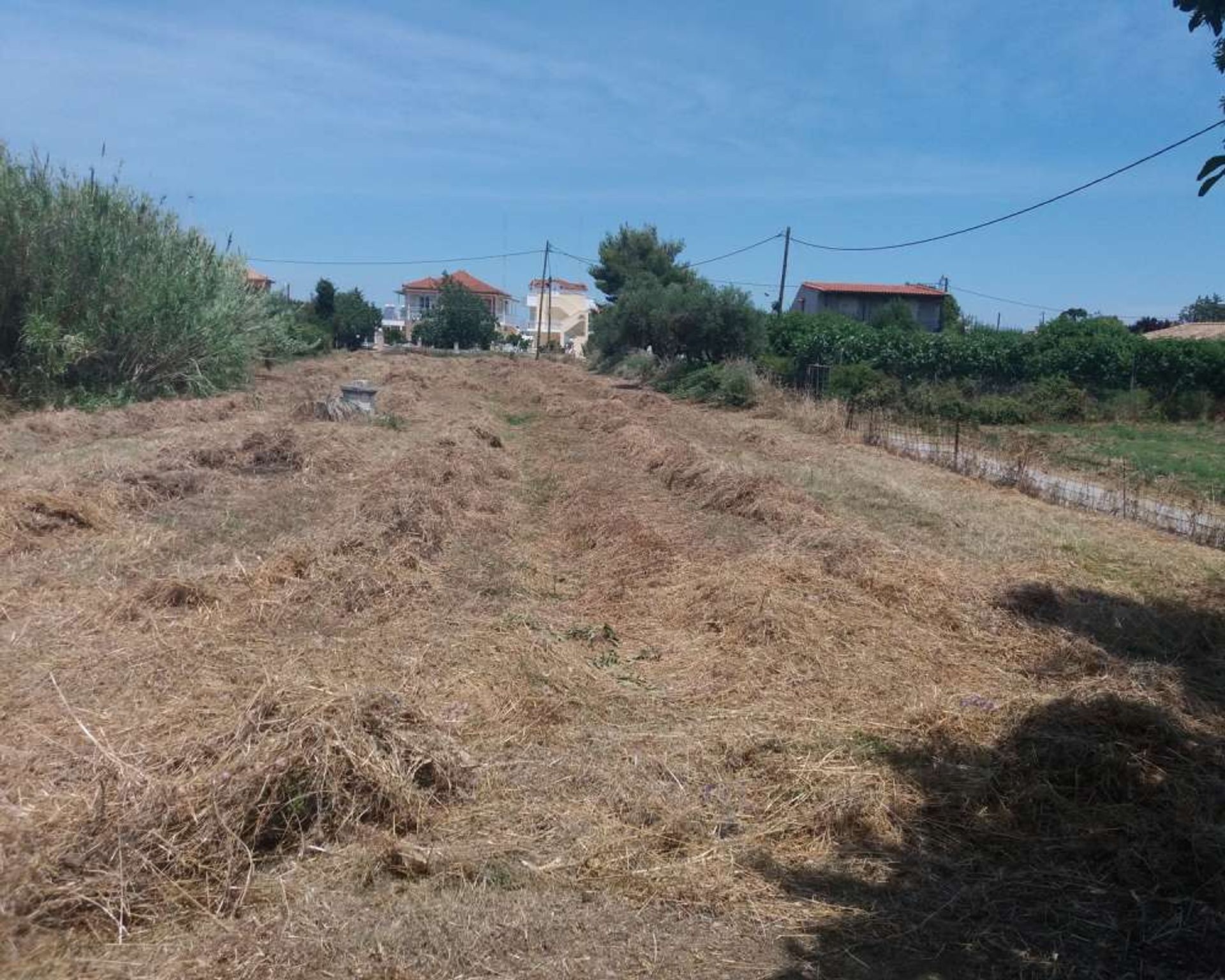 Land im Zakynthos, Zakinthos 10086542