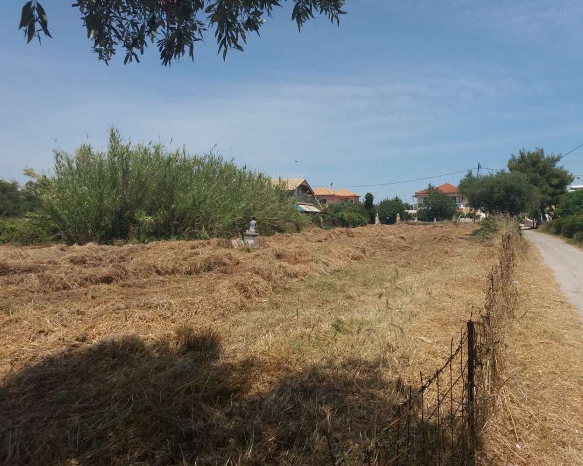 Land im Zakynthos, Zakinthos 10086542