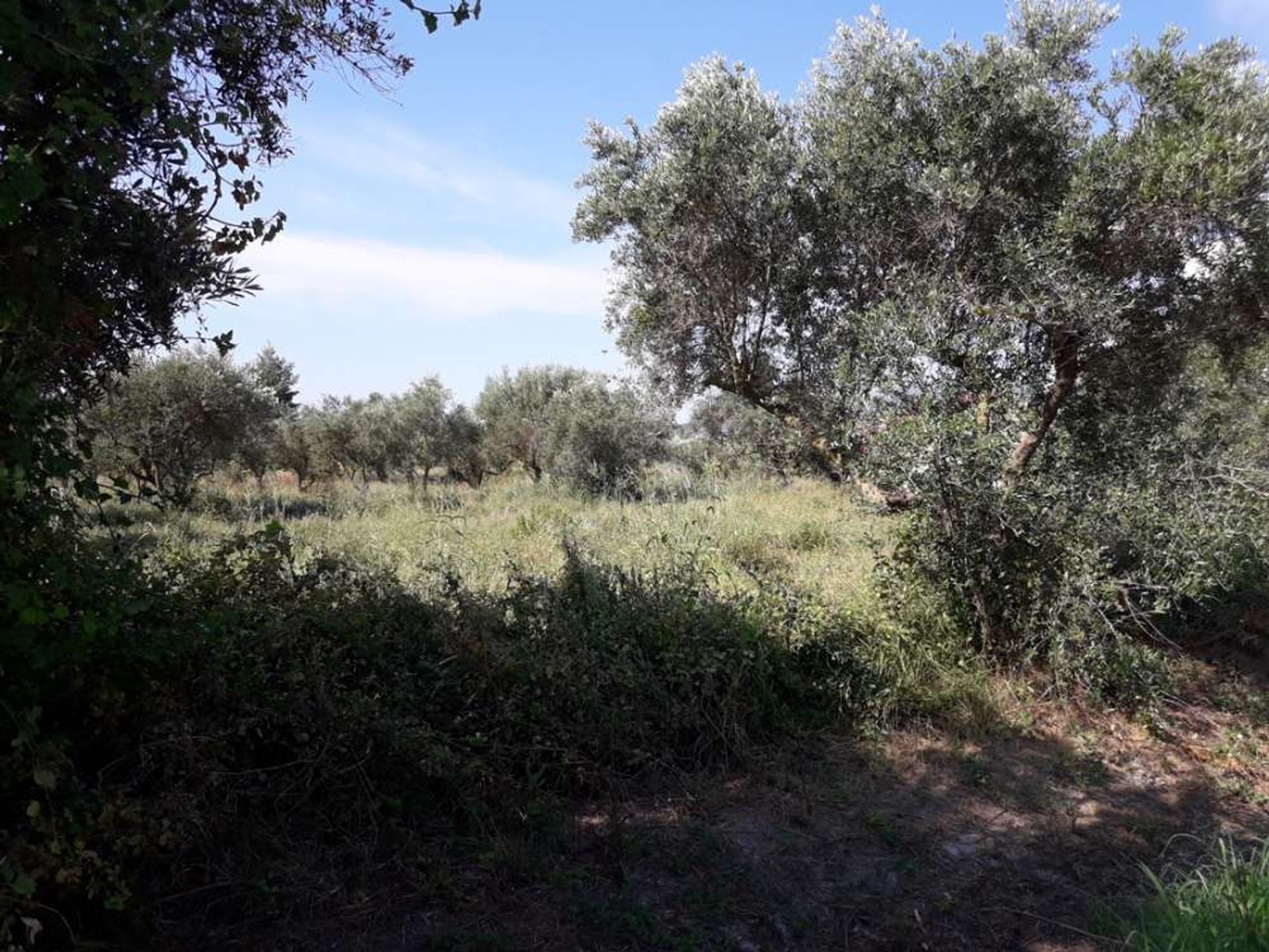 ארץ ב Zakynthos, Zakinthos 10086544