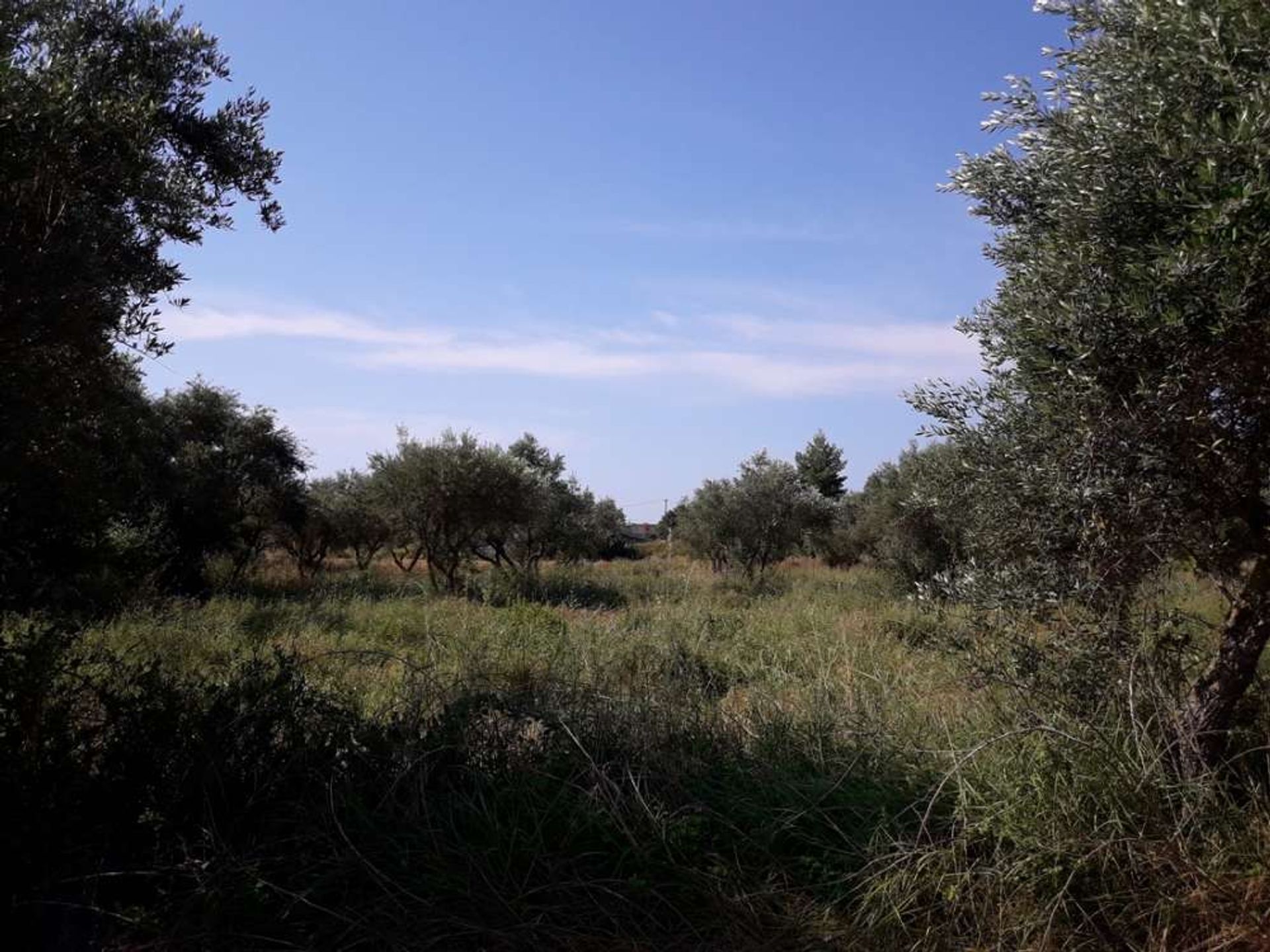 Land in Zakynthos, Zakinthos 10086544