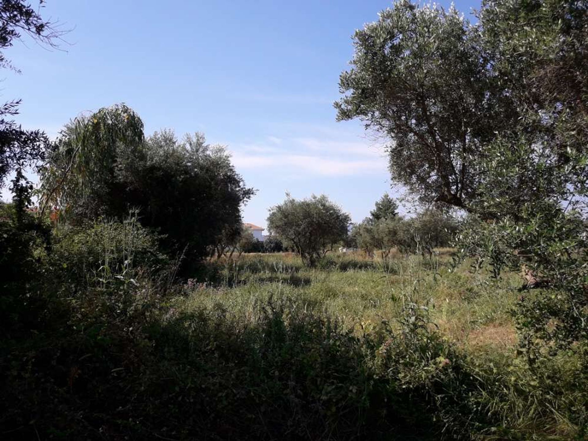 ארץ ב Zakynthos, Zakinthos 10086544