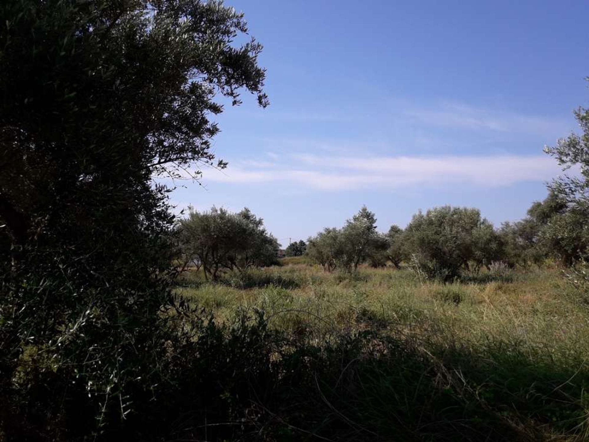 Land in Zakynthos, Zakinthos 10086544