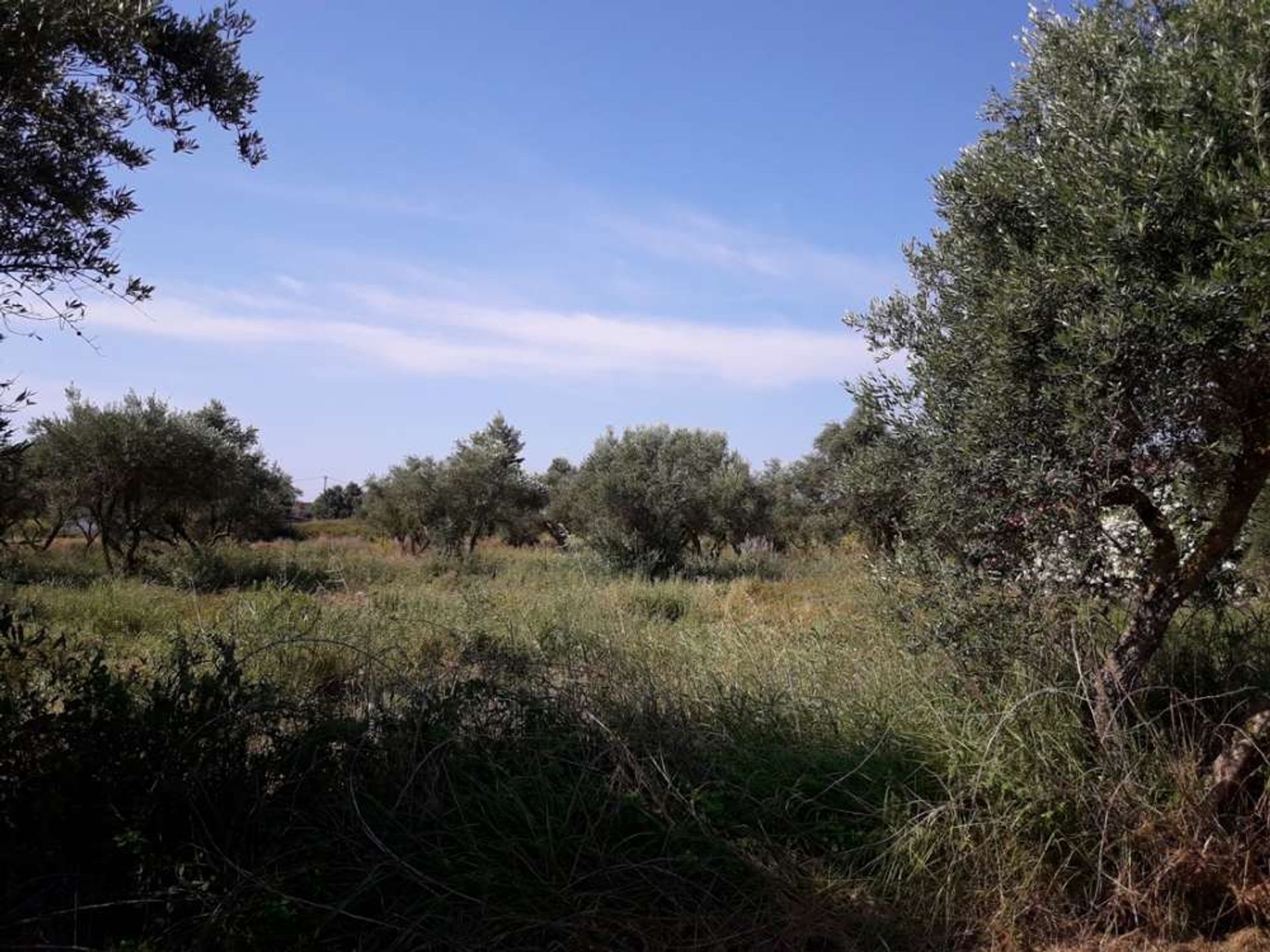 ארץ ב Zakynthos, Zakinthos 10086544